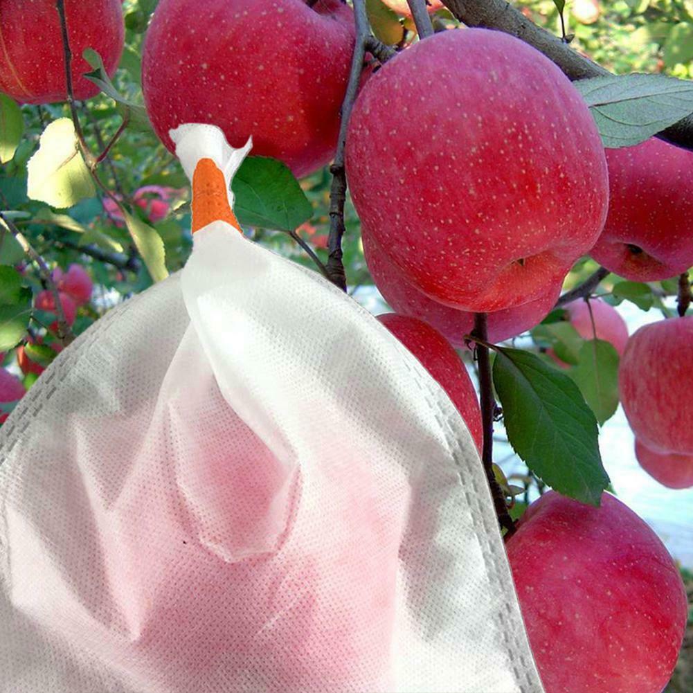 水果套袋專用PP無紡布，水果套袋專用PP無紡布的優(yōu)勢，水果套袋專用PP無紡布的好處，采購水果套袋專用PP無紡布 